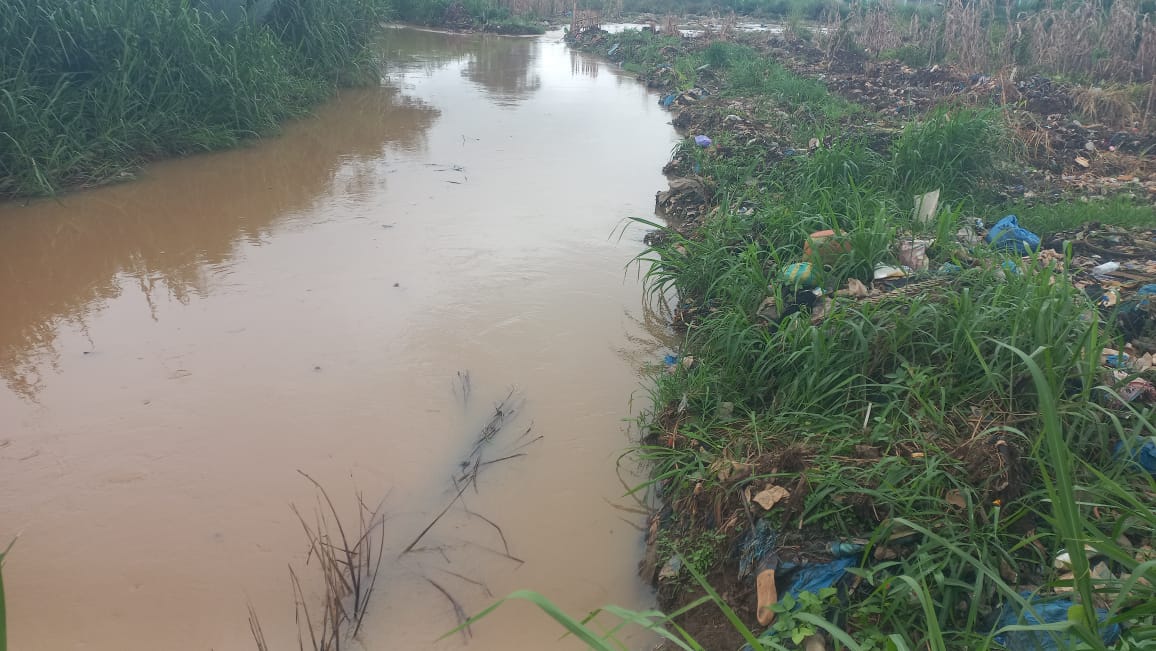 N’Zérékoré : la rivière Tilé, symbole d’un désastre écologique silencieux