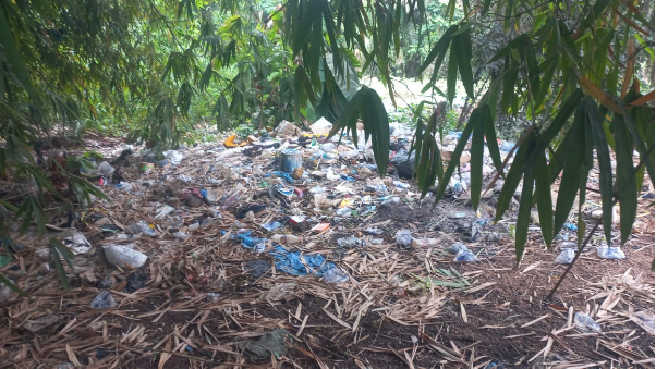 N’Zérékoré : la source Zaly, berceau historique de la ville, en voie de disparition