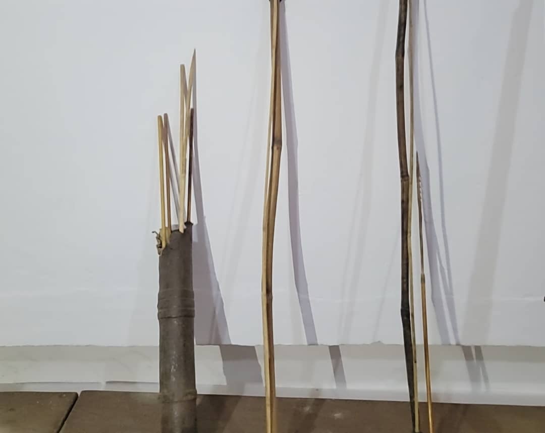 À la découverte des masques et outils des bagas, landouma, nalou et djöla