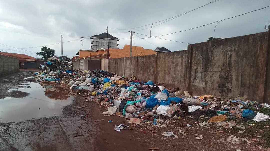 Déchets à Conakry : la difficile bataille des communes pour une ville propre… 