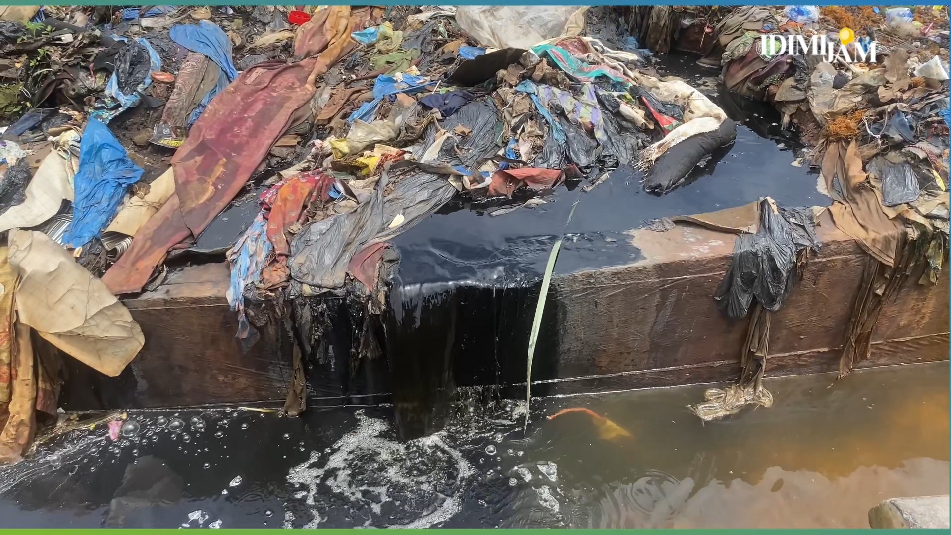 Dar es Salam : familles et enfants face au danger des ordures