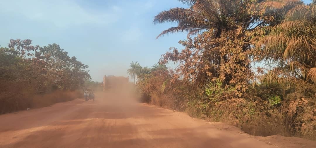 Pollution par la poussière : une menace silencieuse pour les plantes et l'écosystème